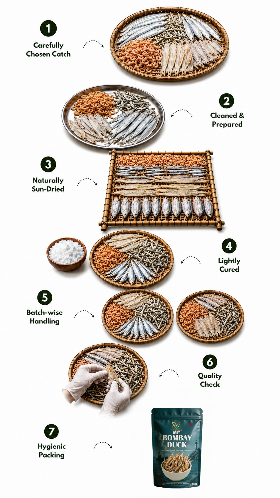 Illustrated Vaaraahi Dried Seafood journey showing catch selection, cleaning, natural sun-drying, light curing, batch-wise handling, quality checks and hygienic packing.