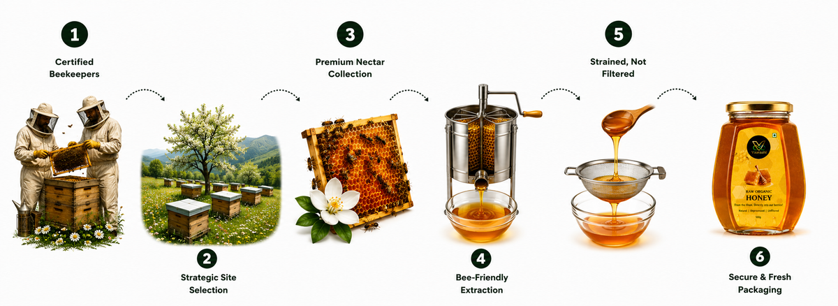Illustrated Vaaraahi Raw Organic Honey journey showing certified beekeepers, apiary selection, nectar collection, bee-friendly extraction, straining and packaging.