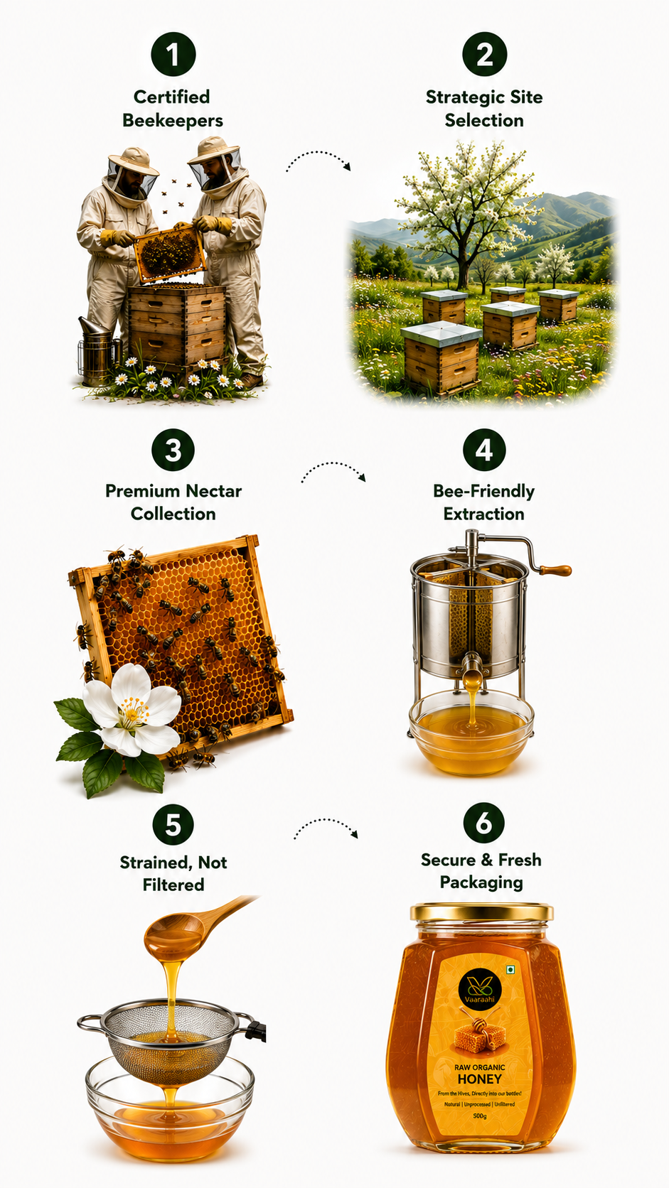 Illustrated Vaaraahi Raw Organic Honey journey showing certified beekeepers, apiary selection, nectar collection, bee-friendly extraction, straining and packaging.